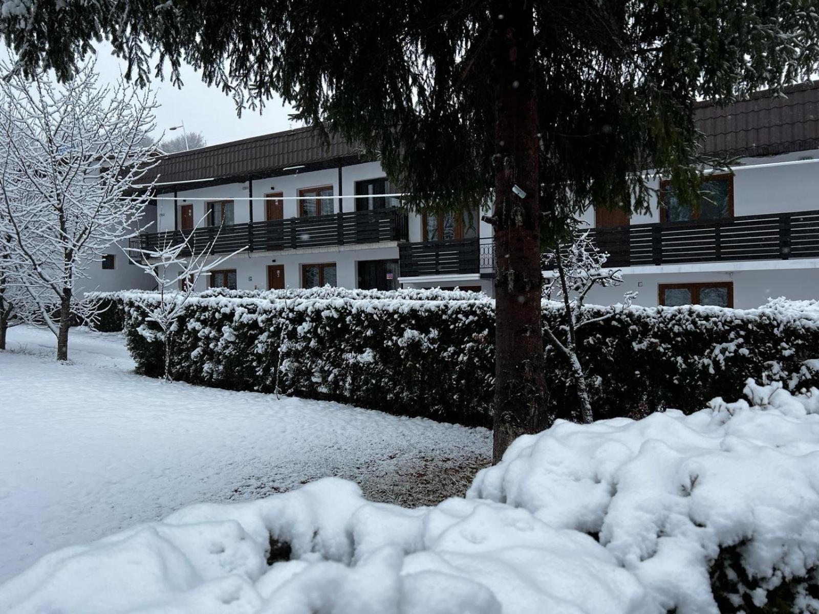 Affittacamere Pensiunea Bavaria 3*